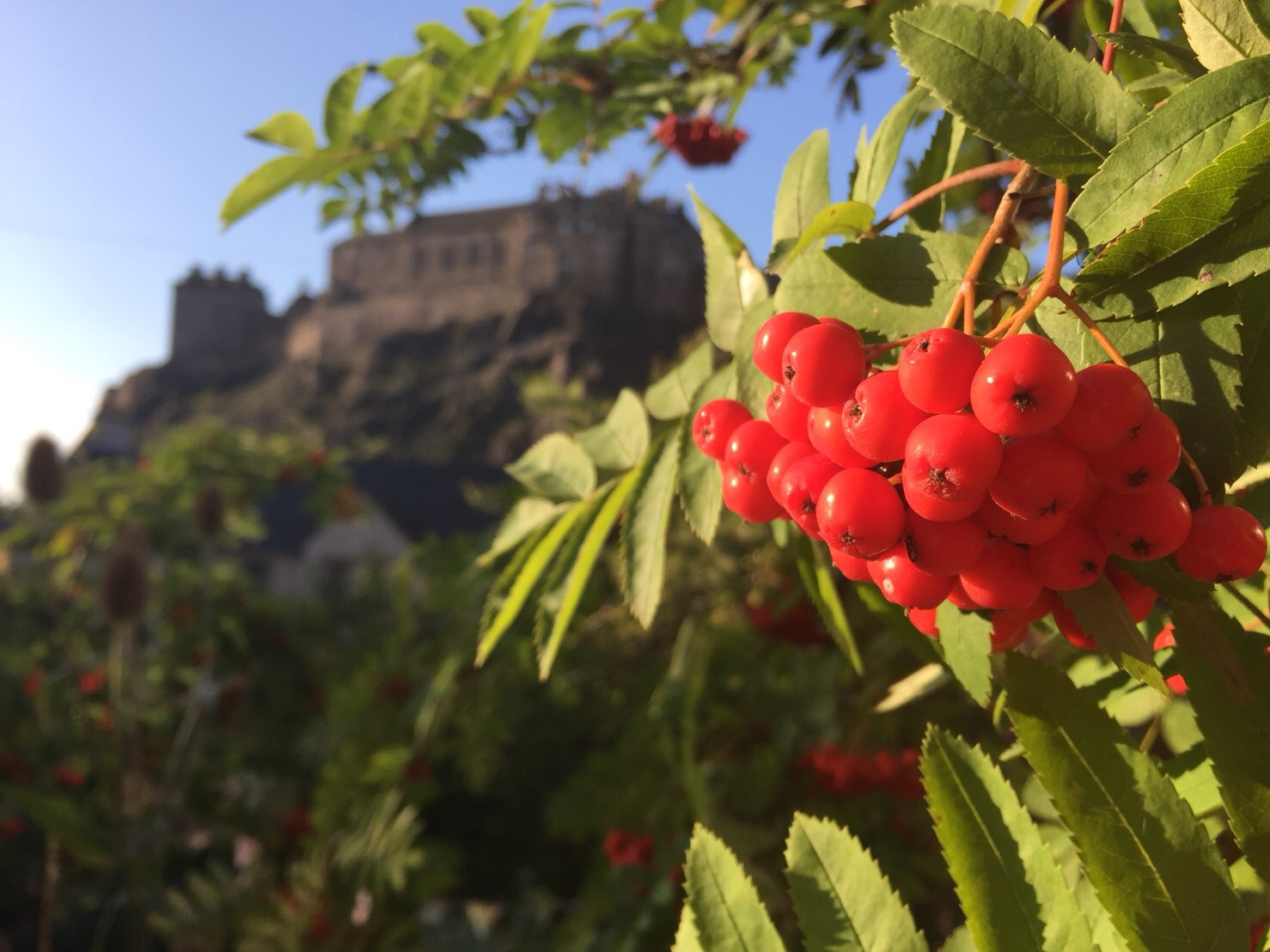 Edinburgh Castle